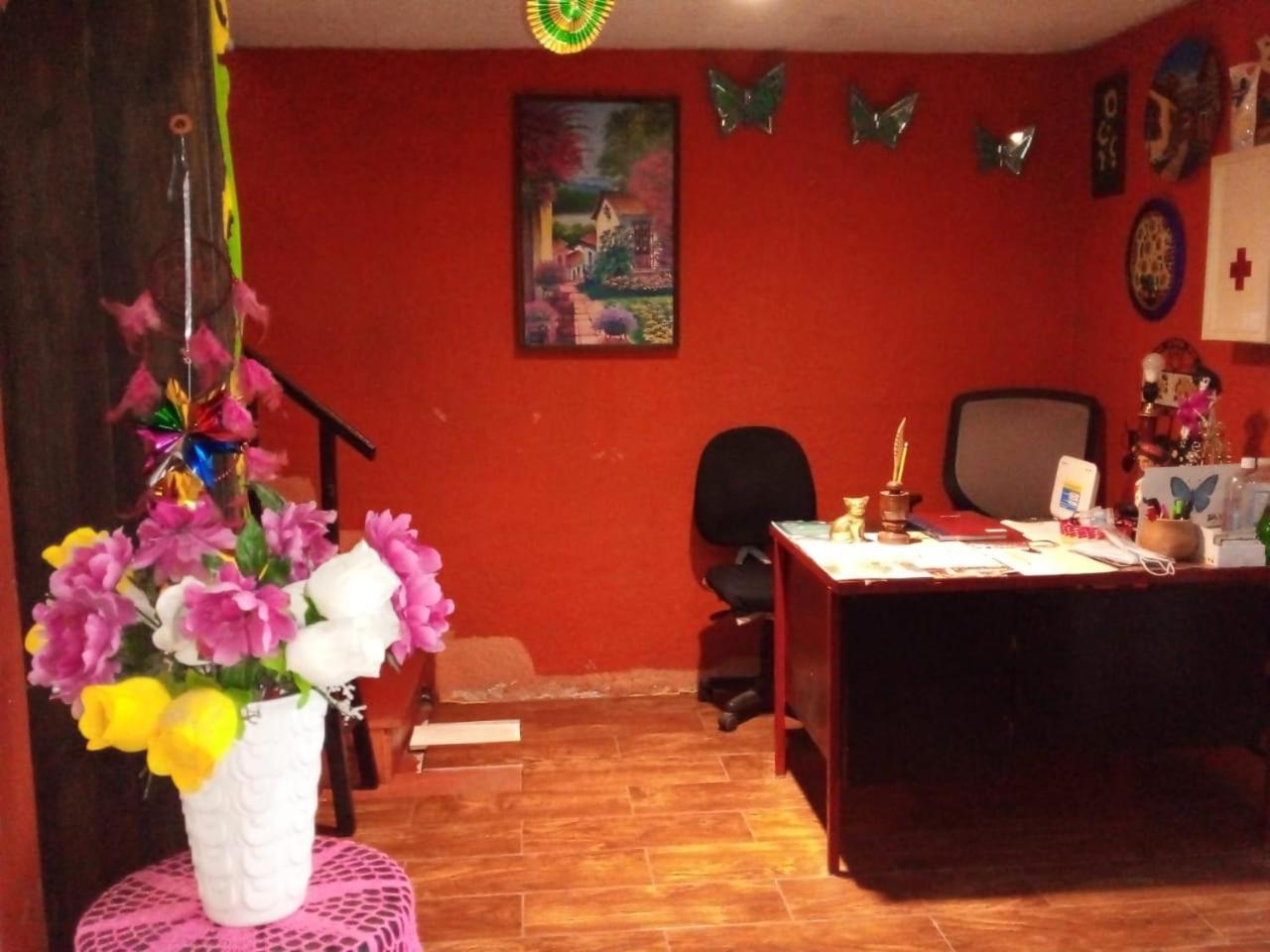 Posada Jardin Huasteca Xilitla Extérieur photo